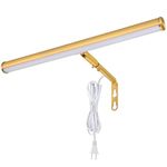 Xbuyee LED Picture Lights for Paintings Plug in, Adjustable Art Light Gallery Wall Light for Display Art Work, 14 Inch 4W 3000K Warm White, Gold Finish CRI90+, ETL Listed