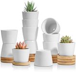 T4U 6.5CM Small White Succulent Planter Pots with Bamboo Tray Round Set of 12, Ceramic Succulent Air Plant Flower Pots Cactus Faux Plants Containers, White Modern Decor for Home and Office