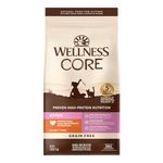 Wellness Core Natural Grain Dry Cat Food Kitten Turkey & Chicken