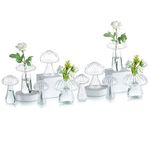 Glasseam Mushroom Vases for Flowers, Cute Clear Glass Bud Vase Set of 10, Blown Glass Vases for Centerpieces, Unique Small Mini Decorative Vase for Living Room, Hydroponic Plant Vase for Room Decor