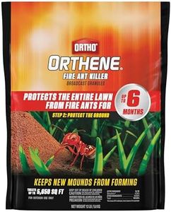 Ortho Orth