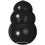KONG Extreme Dog Toy - Fetch & Chew