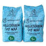 American Soy Organics Millennium Soy Wax Beads for Candle Making - Natural Candle Making Supplies - Paraffin-Free, Beeswax-Free Candle Wax for Container Candles, Tealights and Wax Melts, 10 lbs