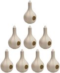 Wild Bird Lover's Single Purple Martin Gourds – Pack of 8 Durable Plastic Bird Houses with Drainage & Hanging Loop
