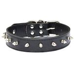 PET WORLD Leather Dog Collar-52