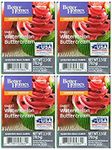 Better Homes and Gardens Sweet Watermelon Buttercream Scented Wax Cubes - 4-Pack