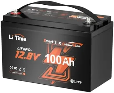 Litime 12V 100Ah OBM Bluetooth Low-Temp Protection LiFePO4 Battery Buit in 100A BMS, Group 31 Deep Cycle Lithium Iron Phosphate Battery Perfect for Trolling Motors,Yacht, Marine, Boat, RV,Home