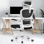 Razzor Ergonomic Office Chair, High Back Mesh Desk Chair with Lumbar Support and Adjustable Headrest, Computer Gaming Chair, Executive Swivel Chair for Home Office