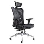 Ergonomic Office Chair, Computer Ch