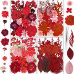 24 Types 81PCS Red Dried Pressed Flowers for Resin - YouthBro Real Nature Flowers Herb Set for DIY Jewelry Candle Soap Vase Making Nail Card Scrapbook Art Craft Floral Decors