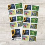 Garden Delights (Booklet of 20) First-Class Mail Forever Postage Stamps 2024 Scott 5845-5848