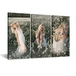 Multi Panel Personalized Canvas with Photo 3 Piece Custom Canvas Prints with Your Photos for Room Wall Decor Framed Ready to Hang (3 Photo 3 Panel, 8"x16"x3P(20x40cmx3P))