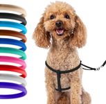 CollarDirect Rolled Leather Dog Harness Small Puppy Step-in Leash Lead Set for Walking 10 Colors (Black, XS)