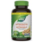 Nature's Way Astragalus Root, Iummune System Support, Value Size, 180 Vegetarian Capsules