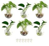 6-Pack Wall Hanging Planters Glass 