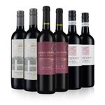 Laithwaites Top Selling Malbec Mix, Red Wine Case, 6 Bottles (75cl) - 13% - 14% ABV - Argentinian Malbec - Includes Opi, The Holdings & Bariloche