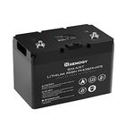 Renogy 12V 100Ah Smart LiFePO4 Lithium Iron Phosphate Battery Deep Cycle Battery, Built-in BMS, 4000+ Cycles, Perfect for Trolling Motor, RV, Camping, Marine, Off-Grid System