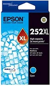 Epson C13T