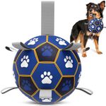 Dog Soccer