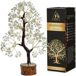 Green Jade Crystal - Jade Tree Deco