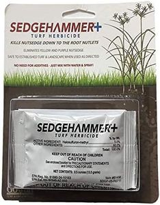 Sedgehamme