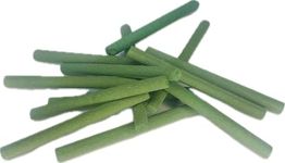 EARTHBOOST Plant Food Fertilizer Sticks || Pack Of 200 Sticks ||For All Home Garden Indoor & Outdoor Plants -