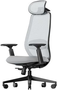 ProtoArc Ergonomic Office Chair – EC200 High-Back Mesh Computer Chair with Lumbar Support, 3D Adjustable Headrest & Sliding Seat for 8+ Hour Comfort, Big & Tall Home Office Desk Chairs - Gray