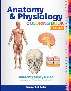 Anatomy an