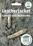 Pest Free Gardening Natural Leatherjacket Grub Nematodes Killer | Kills Daddylong Leg Grubs | Safe for Wildlife, Pets & Kids | (Treats 100sqm)
