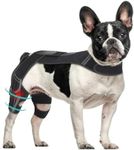 Petdream Dog Knee Brace with Vest, 