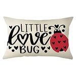 Ogiselestyle Valentine Little Love Bug Ladybug Throw Pillow Cover, 12 x 20 Inch Valentine's Day Love Cushion Case Decoration for Sofa Couch