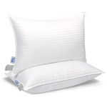 Set of 2, Luxury Goose Feather and Down Bed pillows (Standard) by East Coast Bedding