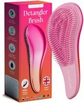 Detangling Brush. Detangler Hairbrush for Curly, Thick, Natural, Straight, Fine, Wet or Dry Hair for Women, Kids and Toddlers by Lily England (Pink/Orange)