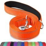 Joytale Padded Handle Dog Lead,Double-Sided Reflective Nylon Dogs Leads for Training,Walking Leash for Small, Medium Dogs, 1.2m × 2cm, Orange