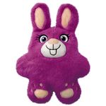 Kong Bunny Toys