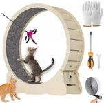 Hrokz Cat Exercise Wheel for Indoor