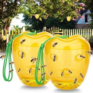 JNKNT Wasp