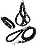 Agirav No Pull Dog Harness - Step in Dog Harness and Leash for Small Medium Large Dog - Escape Proof Adjustable Soft Leash Collar Set for Walking Training Hiking Outdoor, 15 Cm, 15 Cm