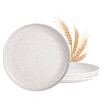 MISS BIG Dinner Plates,10 inches Plastic Plates Set of 4,Lightweight Wheat Straw Plates,Extra Large Unbreakable Plate Set,Dishwasher & Microwave Safe BPA Free and No Chemical Dyes (White)