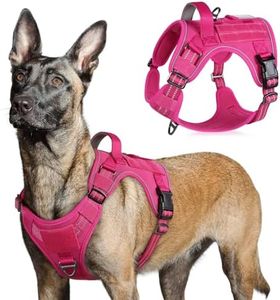 rabbitgoo