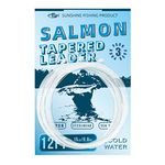 SF Pre-Tied Loop Fly Fishing Salmon Tapered Leader Nylon(3 Packs) 12FT 15LB