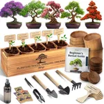 AVERGO Bonsai Tree Kit for Beginner