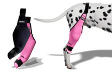 Ombit Dog Knee Brace for Torn ACL Hind Leg, Pink & Black Back Leg Support Brace for Dogs, Durable Medium Size Compression, Comfortable Dog Knee Brace for Torn CCL Hind Leg, Luxating Patella