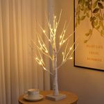 Birch Tree Light with Warm White LE