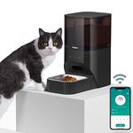 Pet Feeder With Voices