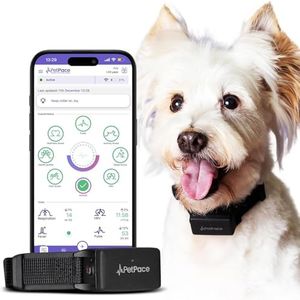 Smart Collar 2.0 by PetPace | AI-Powered Dog Health Monitor & GPS Tracker | Tracks Heart Rate, Pain, Anxiety & Stress, Vet-Backed with Real-Time Alerts & Monitoring - Subscription Required (Small)