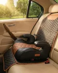 Owleys Car Booster Seat for 5+ Year