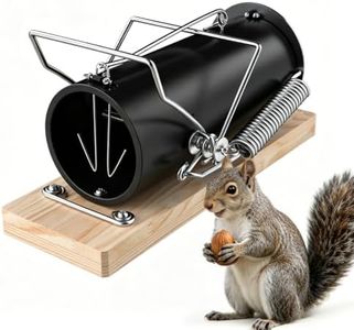 Squirrel T