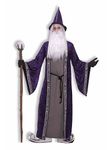 Forum Novelties Men's Wizard Adult Costume, Purple, Standard