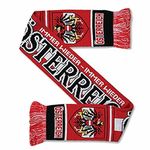 Sports Fan Scarves